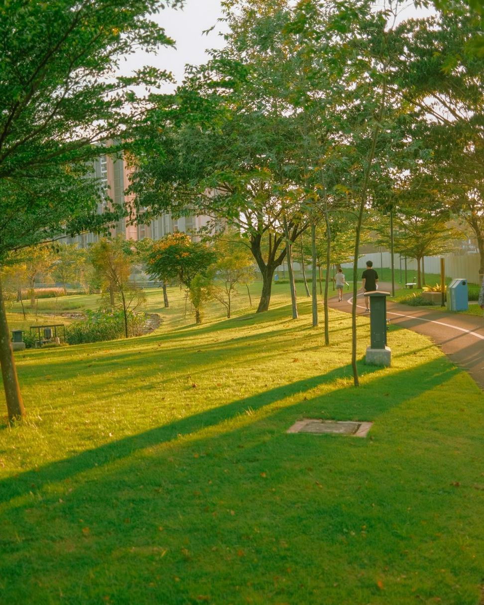 Lansdowne Community Plaza